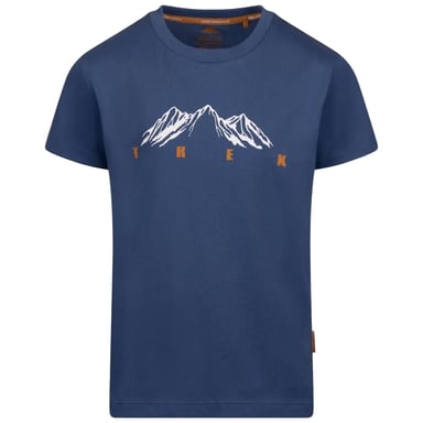 Trespass Boys Majestic T-Shirt (Blue)
