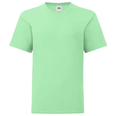 Fruit of the Loom Childrens/Kids Iconic T-Shirt (Neo Mint)