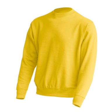JHK Unisex Adult Crew Neck Sweatshirt (Gold)