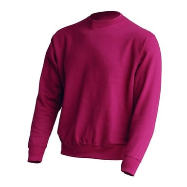 JHK Unisex Adult Crew Neck Sweatshirt (Raspberry)