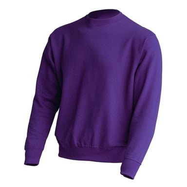 JHK Unisex Adult Crew Neck Sweatshirt (Purple)