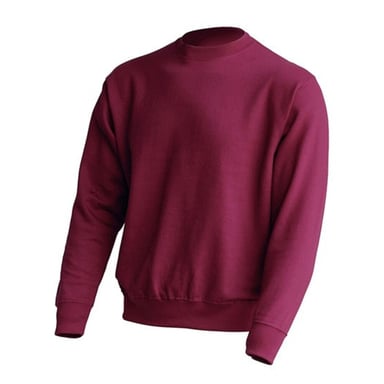JHK Unisex Adult Crew Neck Sweatshirt (Burgundy)