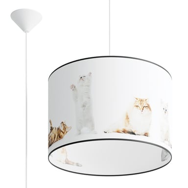 Bright Home Hanglamp carlo modern