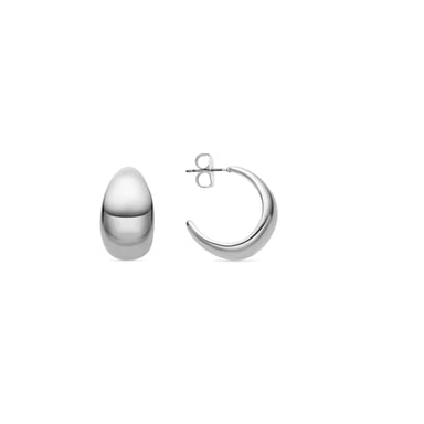 Luxenter 24mm diameter silver-finished earrings - Wanisdi