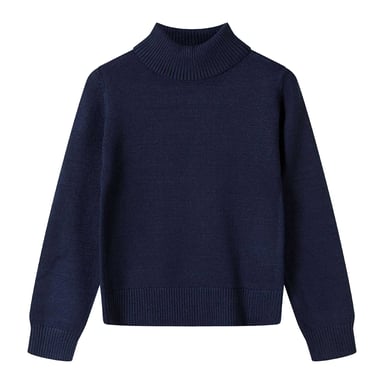 Minoti Girls Ribbed Soft Turtle Neck Jumper (Blue)