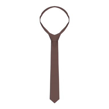 Karlowsky Unisex Adult Plain Tie (Light Brown)