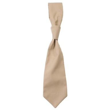 CG Messina Tie (Khaki Green)