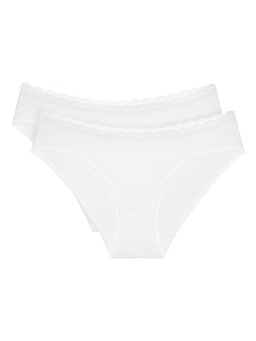 Triumph Slip