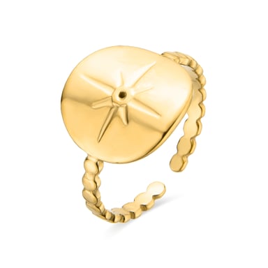 Luxenterring i 18K gult guld med briljant zirkonia - Leri