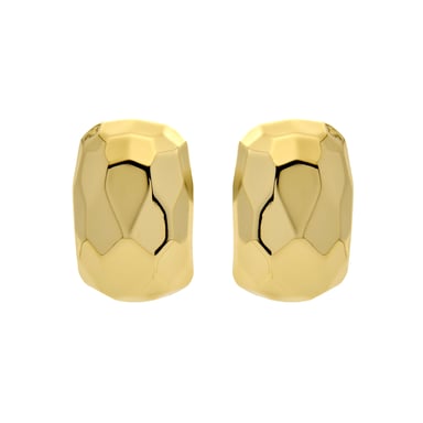 Luxenter 18k yellow gold finish earrings - Sarie