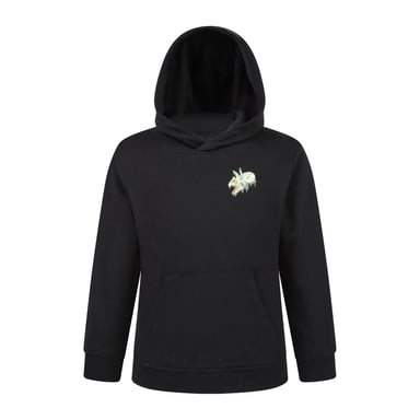 Mountain Warehouse Childrens/Kids Dripping Dino Hoodie (Jet Black)