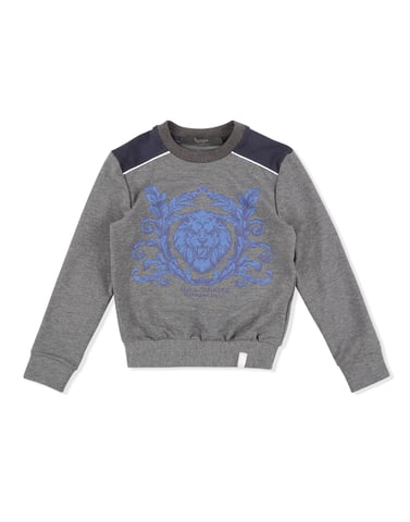 Sweatshirt Lion
