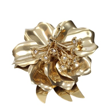 Miu Miu Gouden Metalen Broche