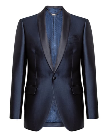 Blazer Lion