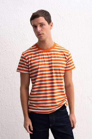 Slim Fit Randig Rundhalsad T-shirt