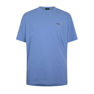 Boss Mens Logo Regular T-Shirt (Blue)