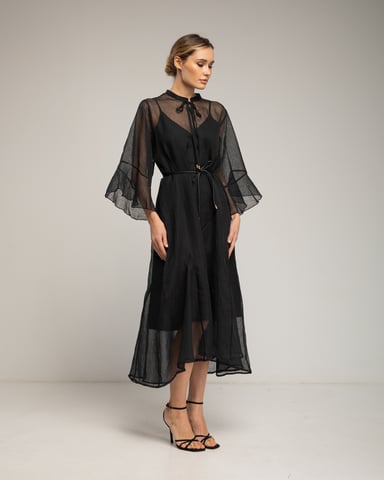 Semi-transparent dress with ruffled sleeves and pleats at the hem. Separate lining.