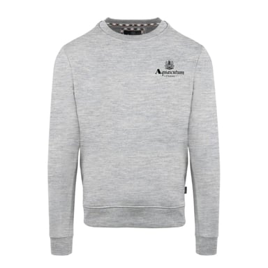 Aquascutum Mens Small Logo Crew Neck Long-Sleeved Sweatshirt (Grey)
