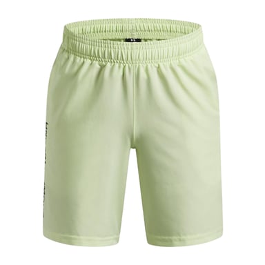 Under Armour Boys Tech Woven Wordmark Shorts (Light Green)