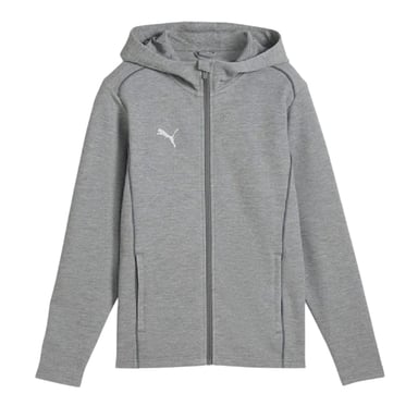 Puma Childrens/Kids TeamFINAL Casuals Hooded Jacket (Grey)