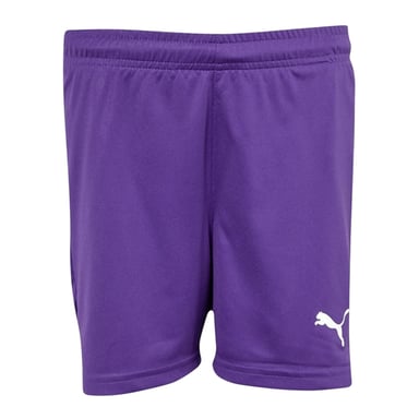 Puma Boys Team Logo Shorts (Purple)