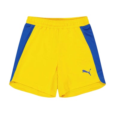 Puma Childrens/Kids Evo Shorts (Yellow)