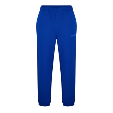 Lacoste Unisex Adult Regular Tracksuit Bottoms (Blue)