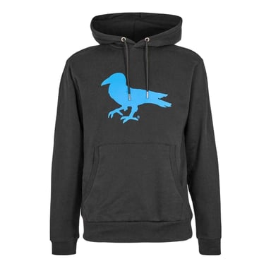 Modern Amusement Unisex Adult Sentimental Robin Hoodie (Jet Black)