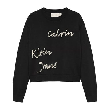 Calvin Klein Childrens/Kids Logo Regular Long-Sleeved Sweater Top (Black)