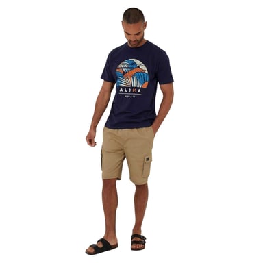 Threadbare Mens Darwall Regular T-Shirt (Navy)