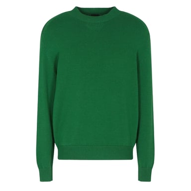 Armani Exchange Unisex Adult Crew Neck Long-Sleeved Jumper (Garden Green)
