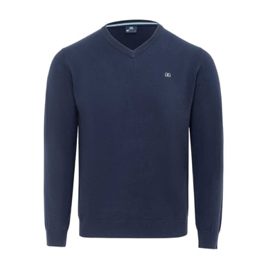 Giorgio Mens Polyester V Neck Jumper (Navy)