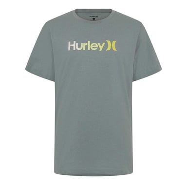 Hurley Mens Big Logo T-Shirt (Grey)