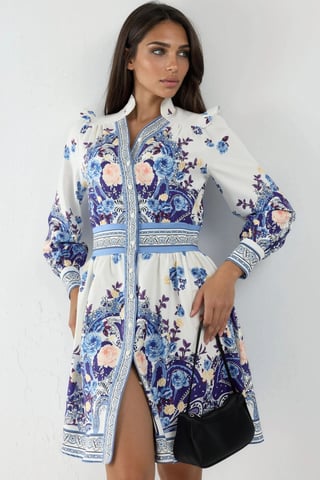 Frilly Paisley V-Neck Mini Skater Dress