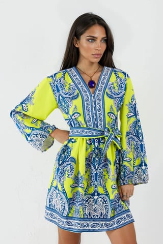 V-Neck Paisley A-Line Mini Dress with Buttons