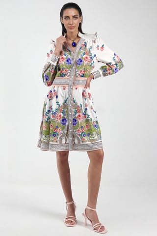 Frilly Paisley V-Neck Mini Skater Dress