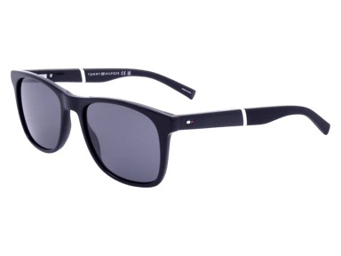 Tommy Hilfiger TH 2046/S 807 sunglasses