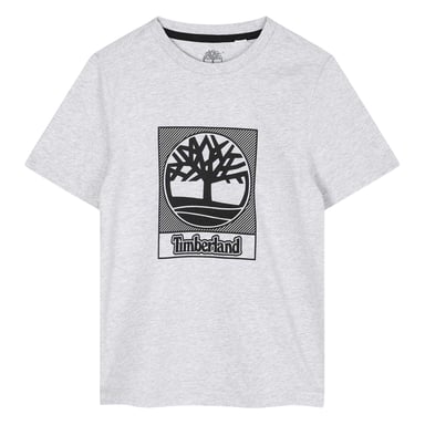 Timberland Boys Logo Regular T-Shirt (Grey)