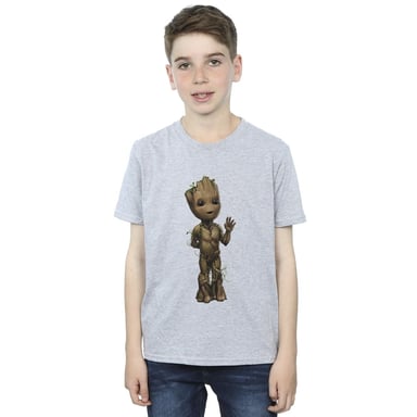 Marvel Boys I Am Groot Wave Pose T-Shirt (Sports Grey)