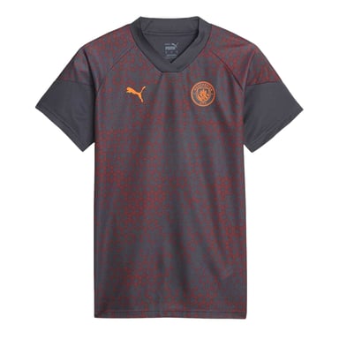 Puma Unisex Adult Manchester City FC Training Jersey (Grey)