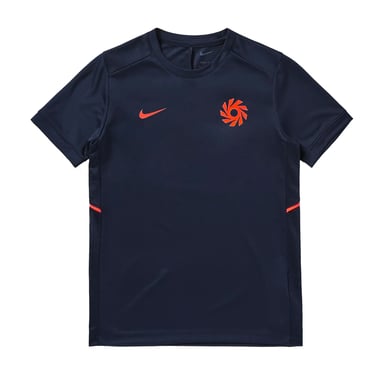 Nike Childrens/Kids Erling Haaland Academy Football Shirt (Blue/Gold)