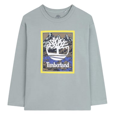 Timberland Boys Mountain Logo T-Shirt (Grey)
