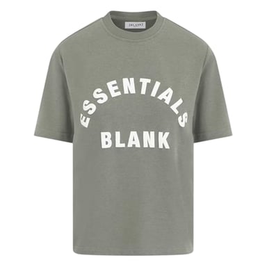 Blank Essentials Womens/Ladies Oversized Boyfriend T-Shirt (Sage)