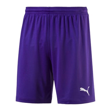 Puma Childrens/Kids Velize Shorts (Purple)