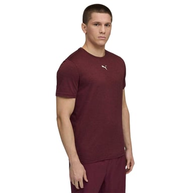 Puma Mens Tad Performance Gym T-Shirt (Burgundy)