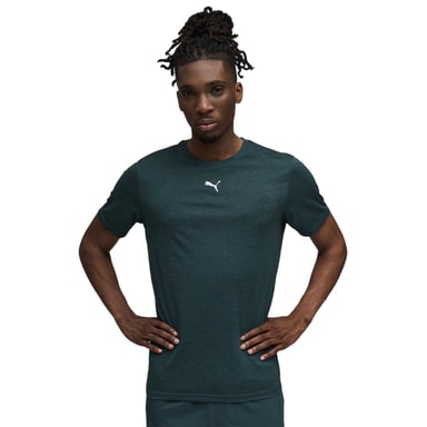 Puma Mens Tad Performance Gym T-Shirt (Terrain)