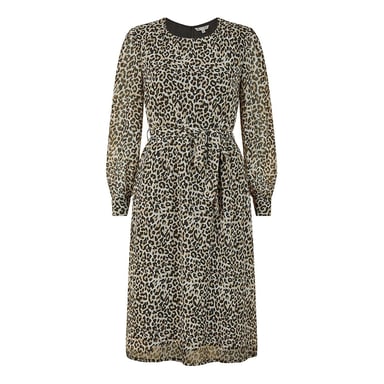 Yumi Womens/Ladies Leopard Print Crew Neck Skater Dress (Brown/Black)