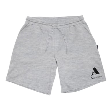 Aquascutum Mens Jersey Shorts (Grey)