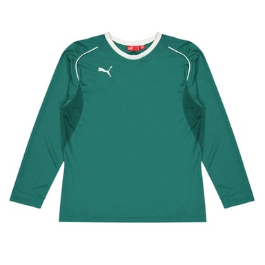 Puma Childrens/Kids Performance Long-Sleeved Goalkeeper Jersey (Green)