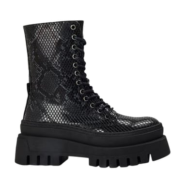 Steve Madden Womens/Ladies Coast Snake Print Platform Combat Boots (Black)